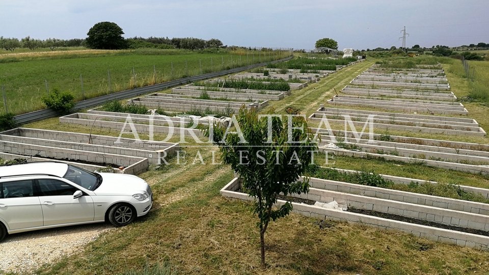 Farm, 12352 m2, Verkauf, Zadar - Briševo