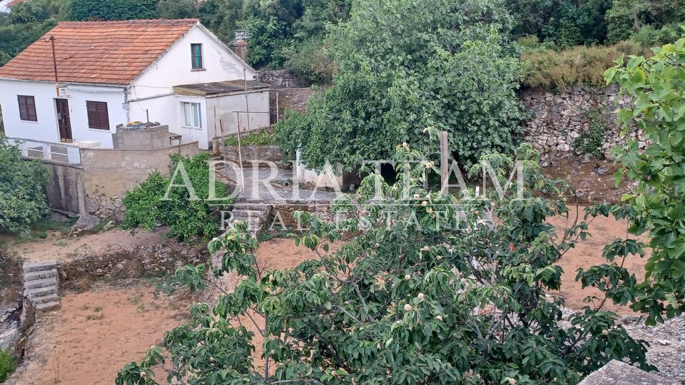 SALE!!! OLD HOUSE WITH LARGE GARDEN AND AUXILIARY BUILDING, 80 M FROM THE SEA, MALI IZ - ZADAR
