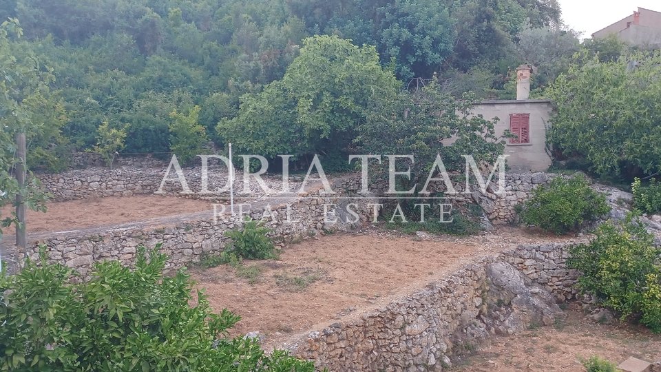 SALE!!! OLD HOUSE WITH LARGE GARDEN AND AUXILIARY BUILDING, 80 M FROM THE SEA, MALI IZ - ZADAR