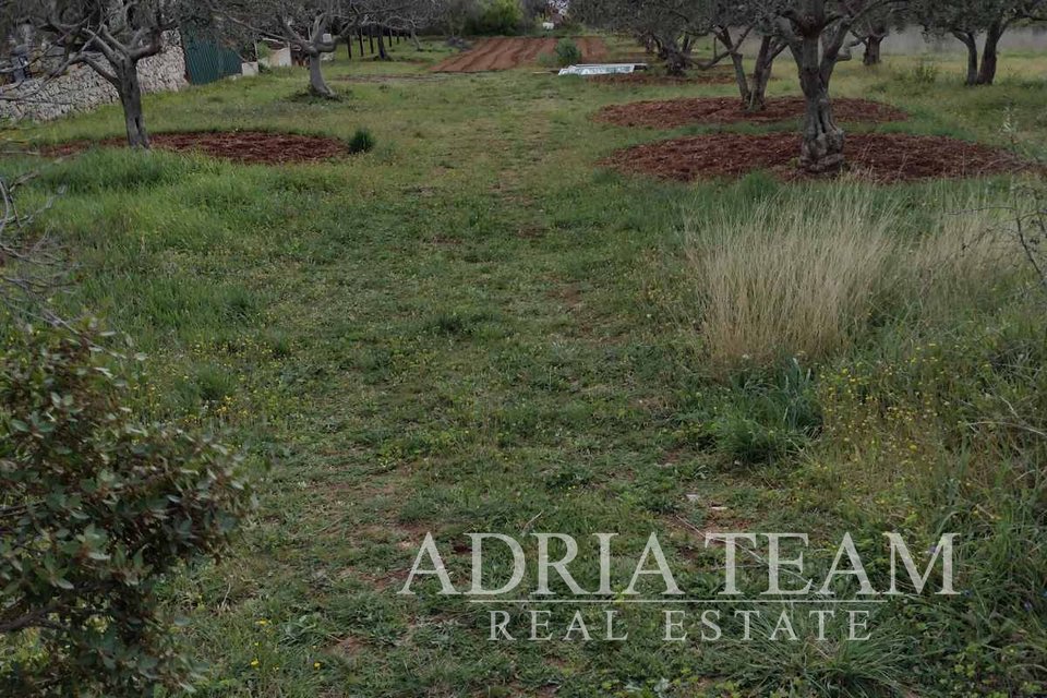 GRAĐEVINSKO ZEMLJIŠTE S POGLEDOM NA MORE SV. FILIP I JAKOV Adria
