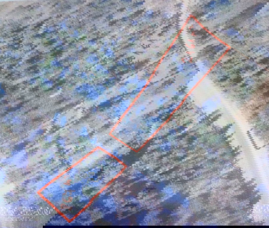 AGRICULTURAL LAND 80 M FROM THE SEA - NEVIĐANE, PAŠMAN