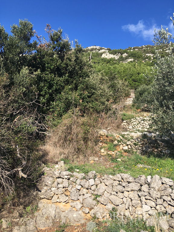 REGULAR-SHAPED LAND, 850 m FROM THE SEA, BABINO POLJE - MLJET