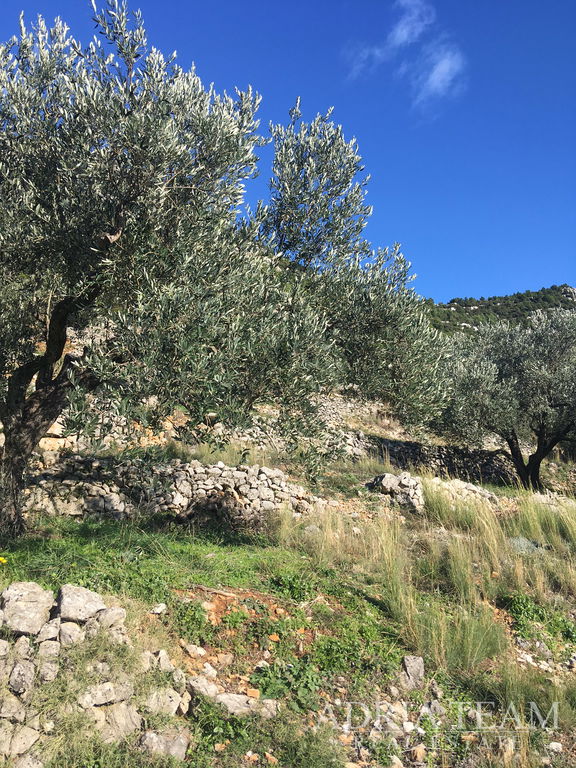 REGULAR-SHAPED LAND, 850 m FROM THE SEA, BABINO POLJE - MLJET