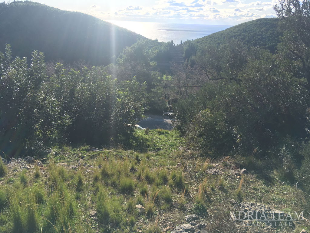 REGULAR-SHAPED LAND, 850 m FROM THE SEA, BABINO POLJE - MLJET