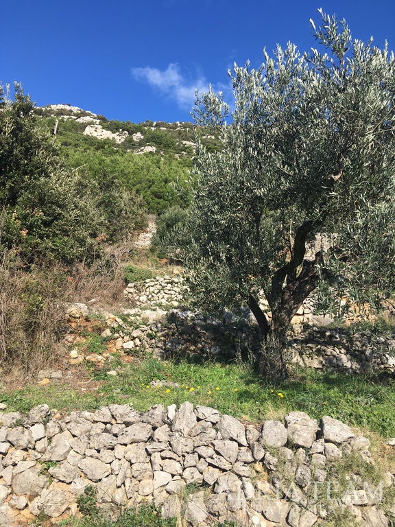 REGULAR-SHAPED LAND, 850 m FROM THE SEA, BABINO POLJE - MLJET