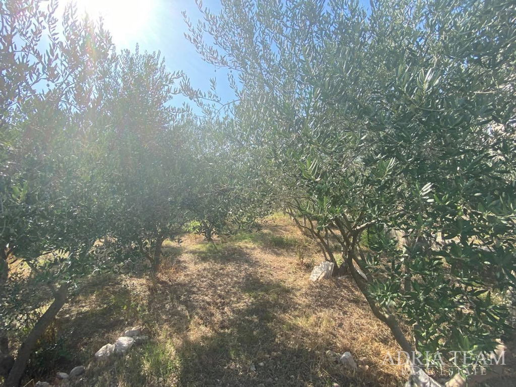 BUILDING LAND 350 m FROM THE SEA, ZADAR