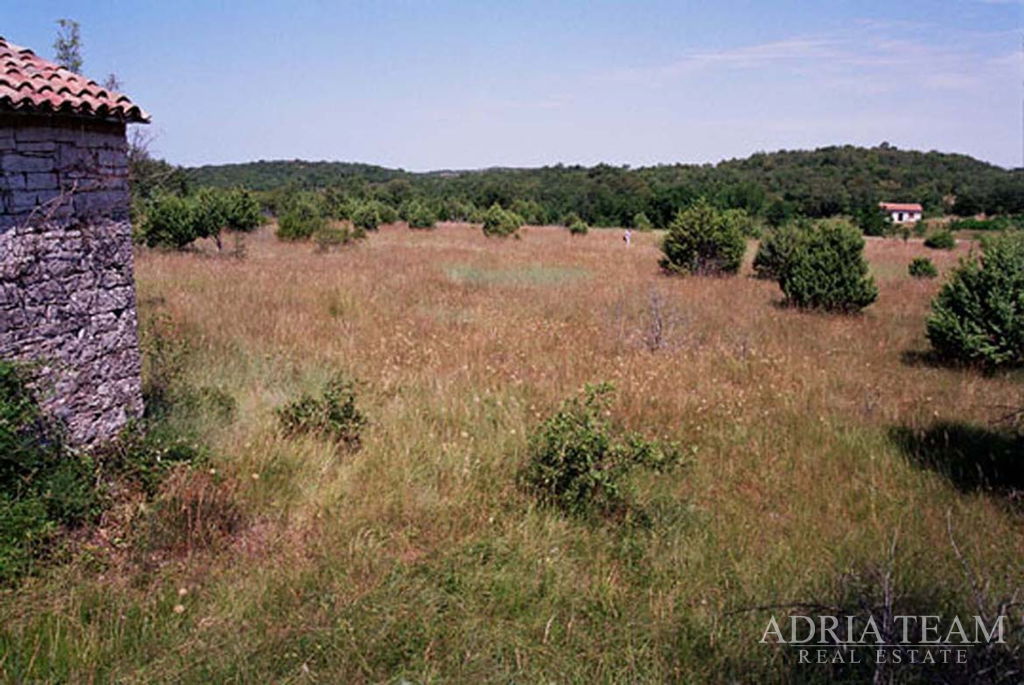 AGRICULTURAL LAND – KANFANAR, ŠORIĆI