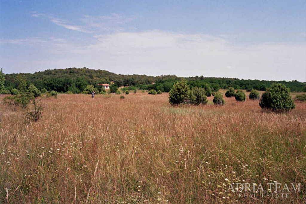 AGRICULTURAL LAND – KANFANAR, ŠORIĆI