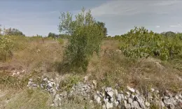 AGRICULTURAL LAND - PETRČANE, ZADAR property for sale