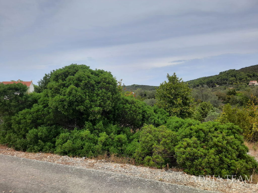 BUILDING LAND IN AN EXCELLENT LOCATION, ONLY 70 M FROM THE SEA - BRBINJ, DUGI OTOK