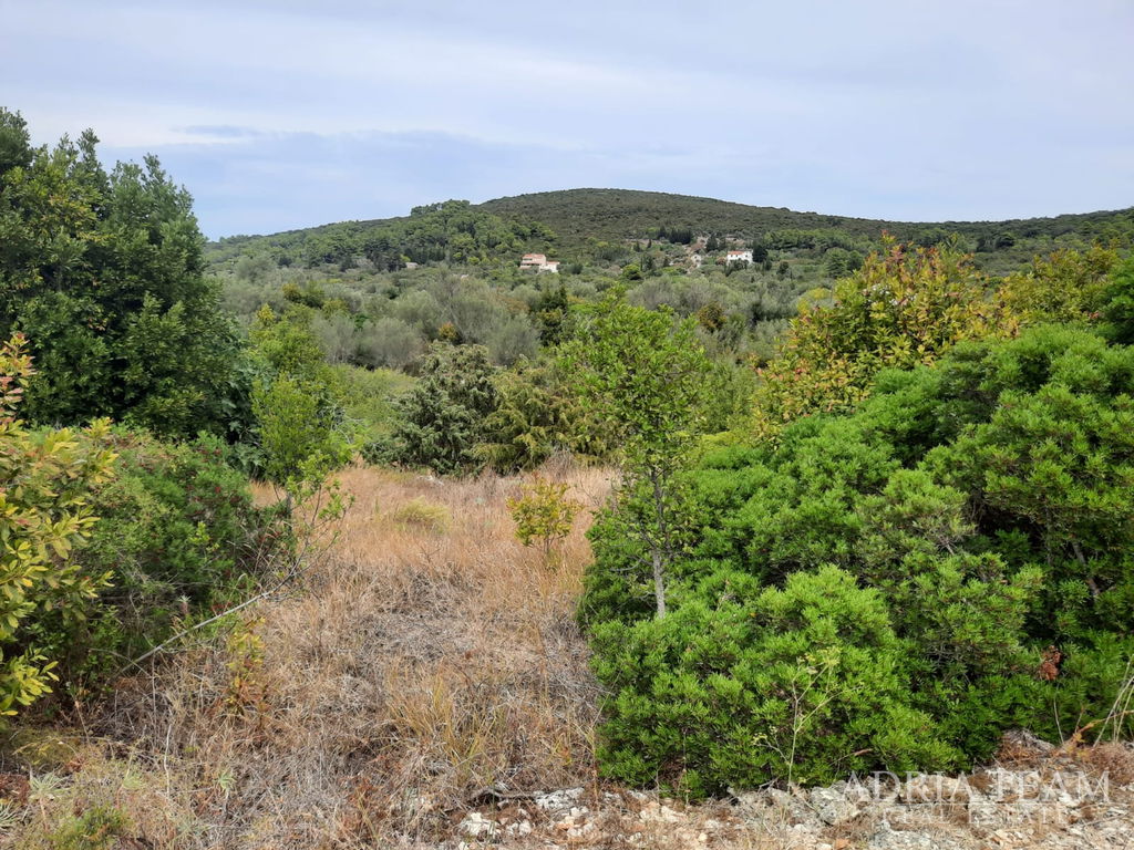 BUILDING LAND IN AN EXCELLENT LOCATION, ONLY 70 M FROM THE SEA - BRBINJ, DUGI OTOK