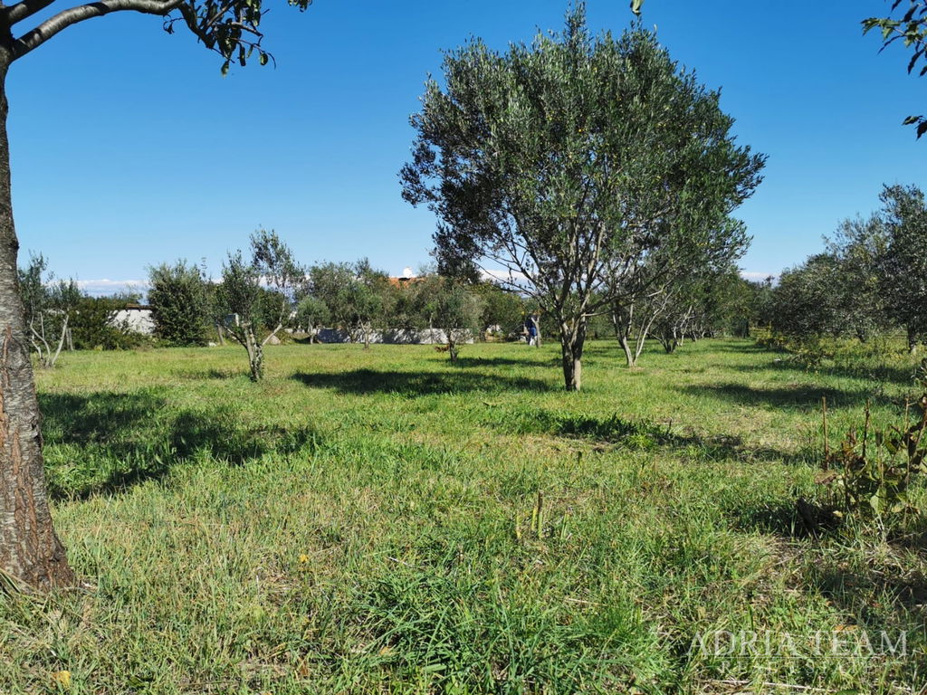 BUILDING LAND, REGULAR SHAPE, 250m FROM THE SEA, PAŠMAN - DOBROPOLJANA