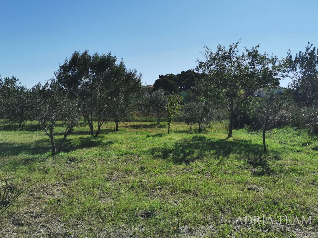 BUILDING LAND, REGULAR SHAPE, 250m FROM THE SEA, PAŠMAN - DOBROPOLJANA