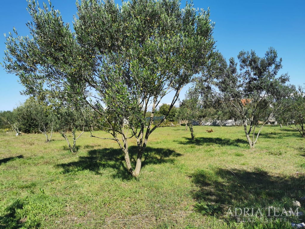 BUILDING LAND, REGULAR SHAPE, 250m FROM THE SEA, PAŠMAN - DOBROPOLJANA