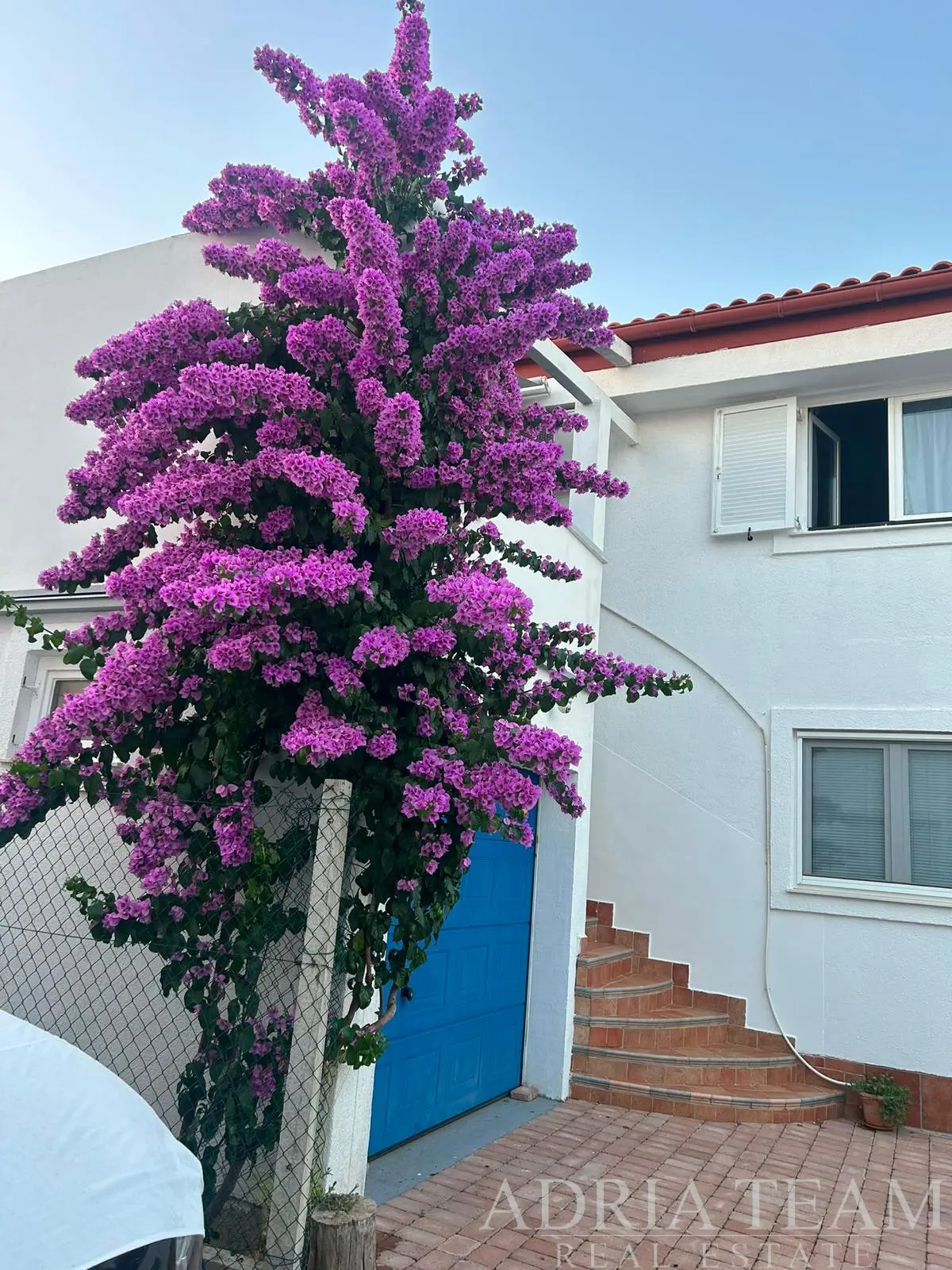 RENOVATED HOUSE WITH SEA VIEW AND 4 APARTMENTS - VIR
