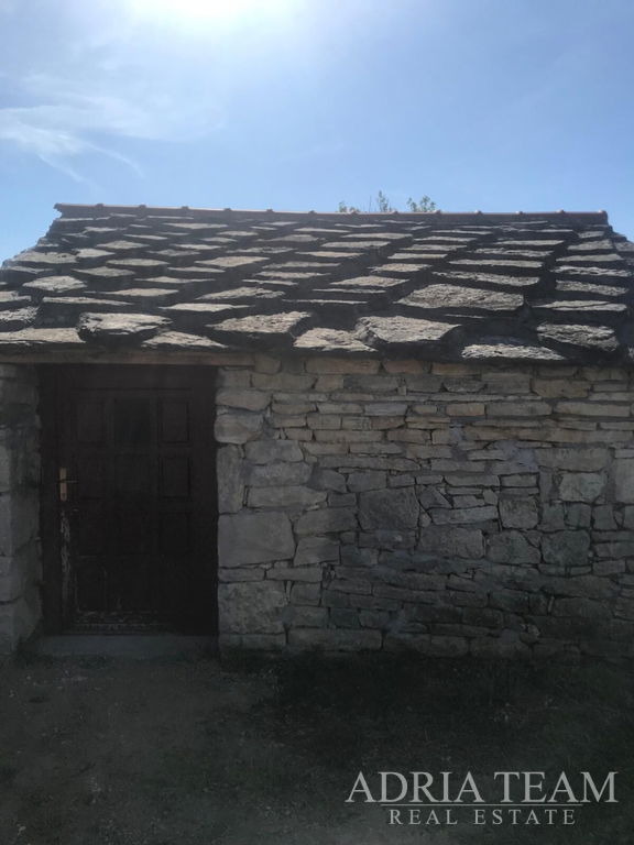 AGRICULTURAL LAND WITH ESTABLISHED OLIVE BUSINESS, LEPURI – BENKOVAC