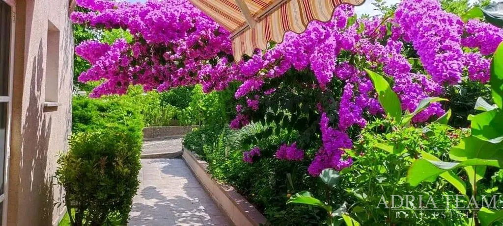 BEAUTIFUL ONE-BEDROOM APARTMENT WITH GARDEN – LUKORAN, ISLAND OF UGLJAN