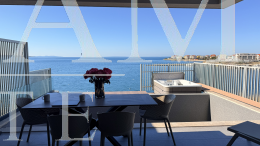 GROUND FLOOR APARTMENT WITH GARDEN AND PRIVATE POOL, FIRST LINE TO THE SEA - POVLJANA property for sale