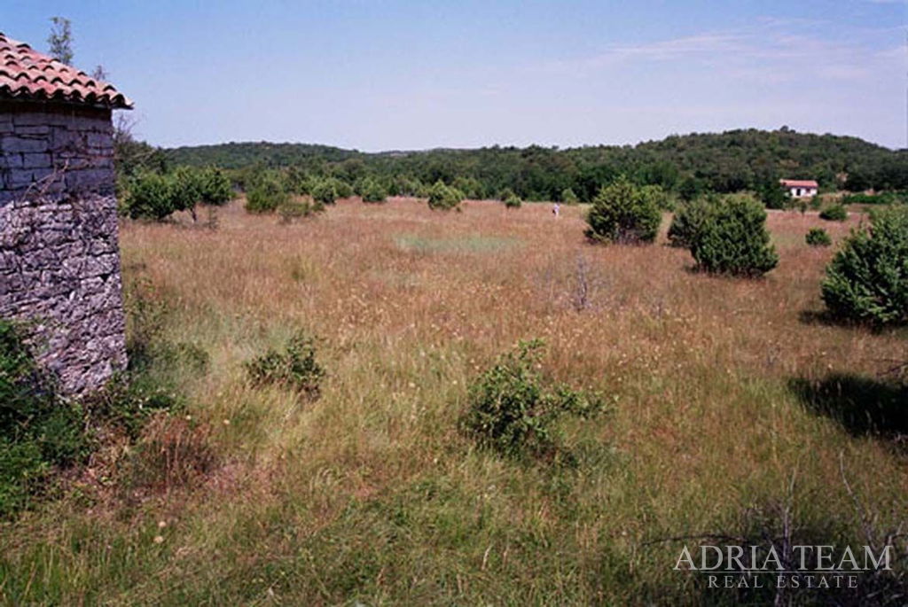 AGRICULTURAL LAND SUITABLE FOR TOURISM – NEAR ROVINJ (KANFANAR)