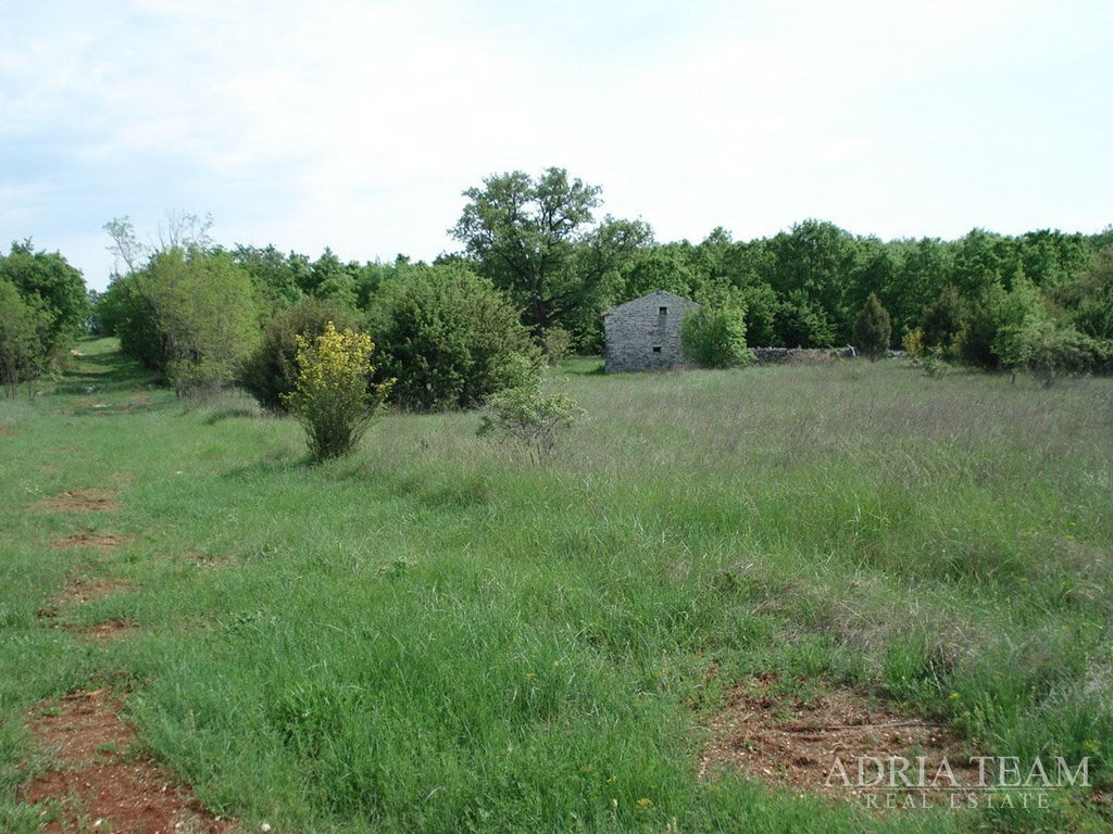 AGRICULTURAL LAND SUITABLE FOR TOURISM – NEAR ROVINJ (KANFANAR)